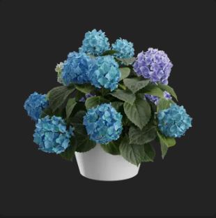 3D model of blue and purple flowers in a pot.