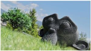 A Suzanne monkey head is in a field of grass with trees in the background. The monkey is in focus but the grass and trees are not.