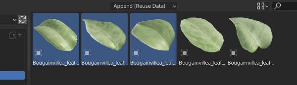 Three leaves from the Baga Ivy Generator are selected in the Blender asset browser. 