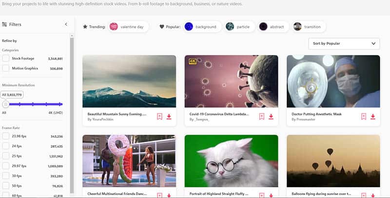 A sampling of stock videos available with an Envato Elements subscription. 