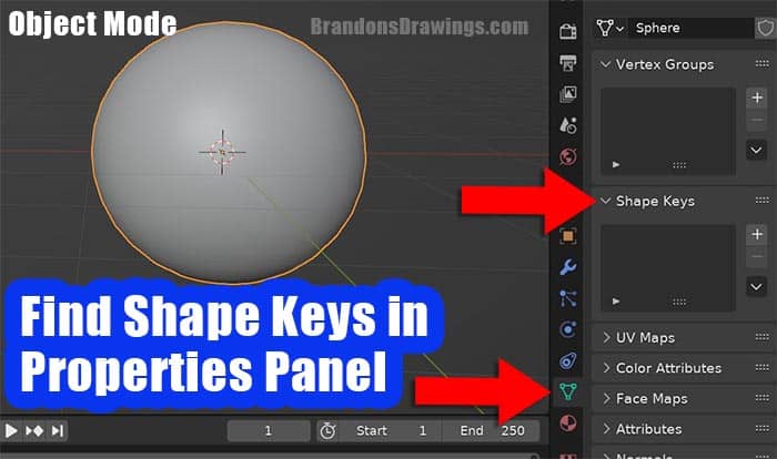 While in Object Mode in Blender, the Shape Keys panel is located under the data properties tab. 