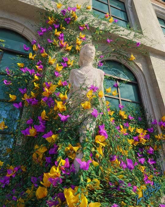 Colorful flowers and ivy grow up the side of a wall and around a white statue.